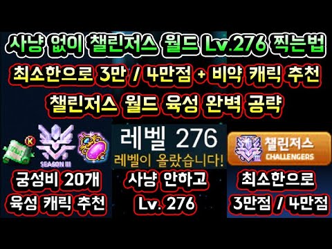 [메이플스토리 맑음] 챌린저스 월드 공략! / 사냥 없이 챌린저스 월드 276레벨 찍는법 / 최소한으로 챌섭 3만점 4만점 찍는 방법 / 궁극의 유니온 성장의 비약 캐릭터 추천 등