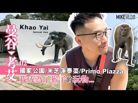 【曼谷近郊考艾】遊考艾國家公園的￼注意事項/Primo Piazza/米芝蓮泰菜/￼泳池的重要性￼ #khaoyai #mikeyuen #泰國 #曼谷 #旅行 #進食