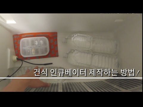 파충류 건식 인큐베이터 제작하기!