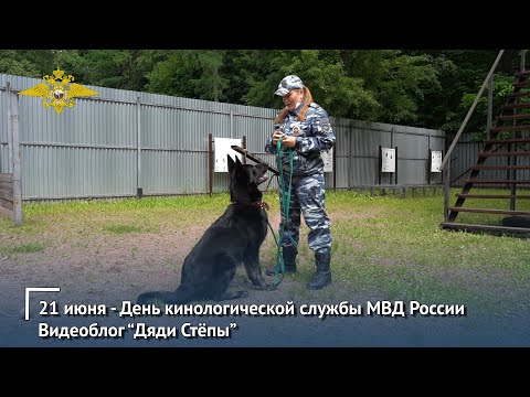 21 июня - День кинологической службы. Видеоблог "Дяди Стёпы".