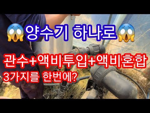 양수기 하나로 3가지를? 관수+액비투입+액비혼합~ 관주 액비주는 방법 모터 물펌프 중거름 추비