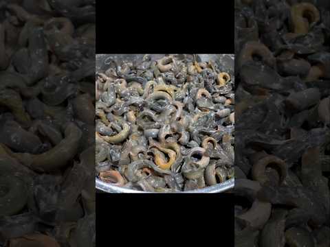 전통방식 초대형 가마솥 미꾸라지 추어탕 - Amazing  Giant Cauldron Loach Soup | Korean Street Food #shorts