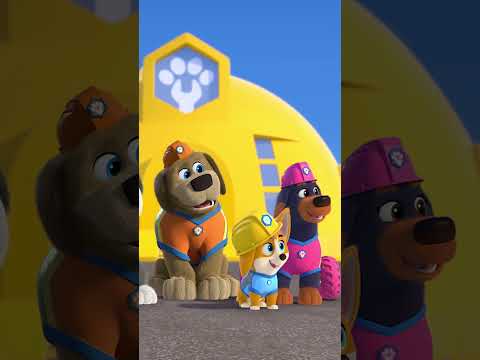 Sing along to the "Need For Speed" song with Pupstruction DisneyJr ! 🏎️