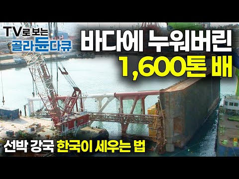 수백 억 선박이 고철로 변하기 직전. 초대형 크레인으로 1,600톤 배 세우는 과정｜모두가 놀란 한국의 인양 기술｜극한직업｜#골라듄다큐
