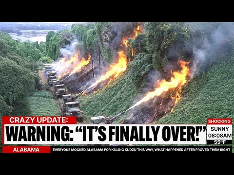 Everyone Mocked Alabama For Killing Kudzu This Way, What Happened After Proved Them Right