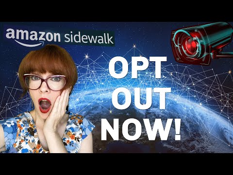Amazon sidewalk... a surveillance network?
