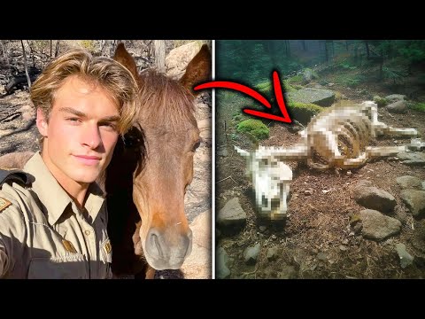 Un Joven Guardabosques Desapareció En Yosemite; Cuatro Años Después Hallaron Su Caballo Muerto