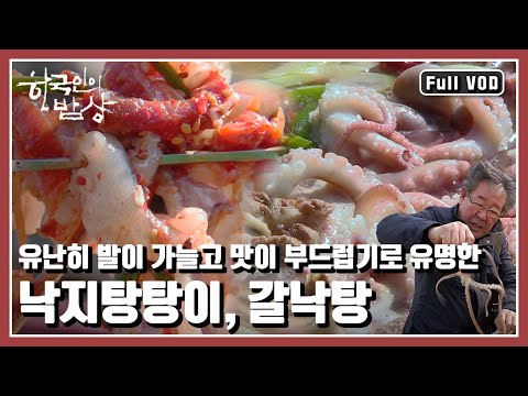 [한국인의밥상★풀버전] 🐙🦪 세발낙지, 숭어, 굴과 감태. 무안 청정 갯벌에 봄이 돌아왔다! | “갯벌, 너를 기다렸다 - 무안 황토갯벌 밥상” (KBS 20160310 방송)