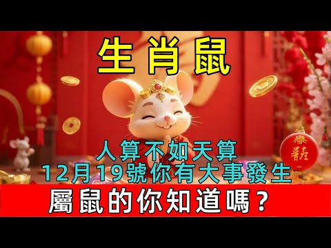 人算不如天算！生肖鼠，明天12月19號你有大事發生！屬鼠的你知道嗎？#生肖 #運勢 #命理 #屬相 #風水 #財運 #佛陀 #佛學 #佛法 #佛教 #修行 #智慧 #因果 #佛家