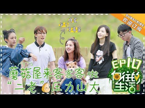 《Back to Field 2》EP10  | Huang Lei, Peng Yuchang, He Jiong, Henry Lau【湖南卫视官方频道】