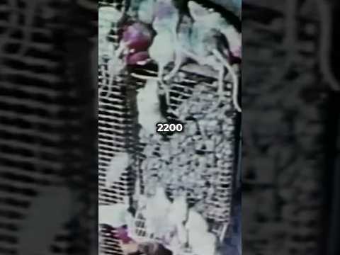 The CREEPIEST Experiment EVER #shorts #science