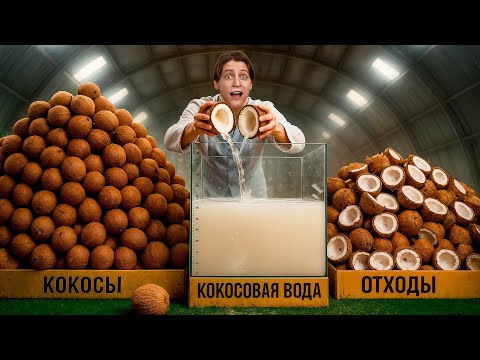 HOW MUCH SWEET WATER IS IN 1000 COCONUTS?