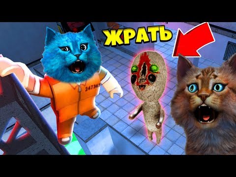 ПОБЕГ ОТ ВСЕХ SCP В СТРАШНОМ ЛАГЕРЕ В ЗОНЕ 51 В РОБЛОКС ROBLOX AREA 51 КОТЁНОК ЛАЙК И КОТИК ИГРОМАН