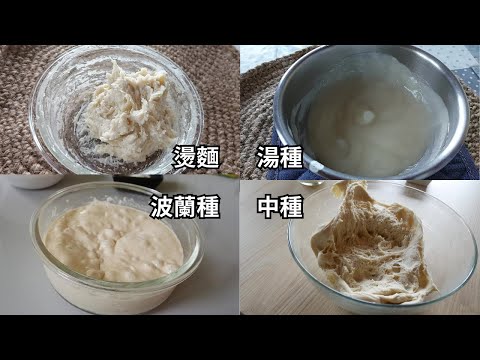 燙麵、湯種、波蘭種、中種、Biga、法國老麵，這些麵種該如何使用? 如何計算?