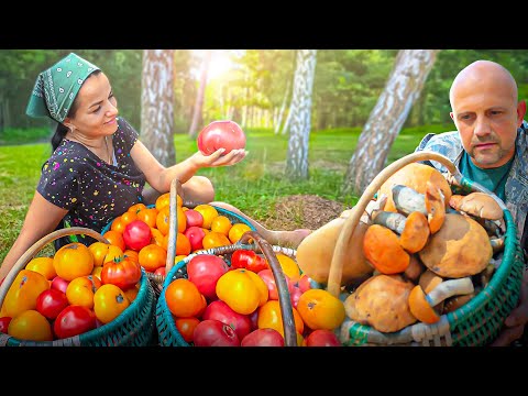 Harvesting FRESH TOMATOES & WILD MUSHROOMS! π
π Village Style Preserving for Winter