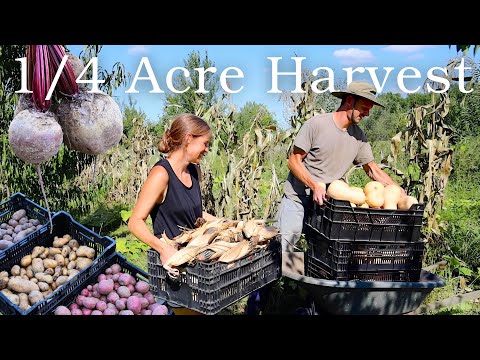 Storage Crops to Feed our Family ALL YEAR!