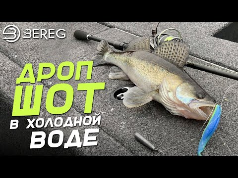 Я не ожидал раздачи Судака в декабре! Дропшот в холодной воде творит чудеса!