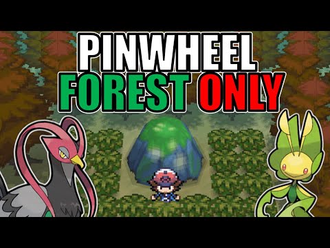 Beating Pokémon Black with only Pinwheel Forest Pokémon!