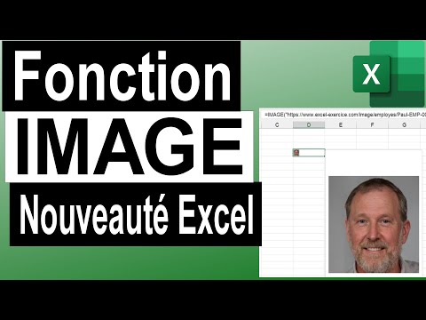 La Fonction IMAGE Excel - Comment l'utiliser ? 🌅