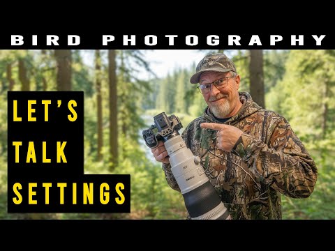 Best Camera Settings for Wildlife & Bird Photography on the Canon R5 II Step by Step