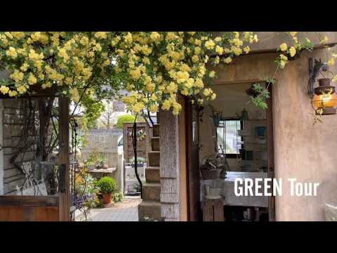 2024年上半期に最も視聴されたガーデニングショップ園芸店トップ5〜1 |  園芸/ガーデニング店巡り