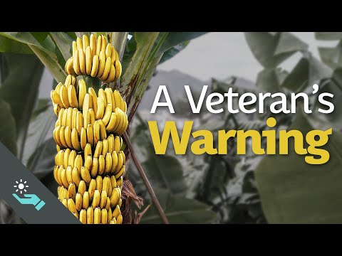 A Veteran's Warning | Smedley Butler