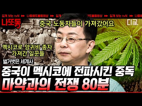 [#벌거벗은세계사] (80분) 멕시코가 마약의 중심지가 된 이유!? 아편전쟁의 역사! 6년 동안 펼쳐진 마약 카르텔과의 전투! | #나중에또볼동영상