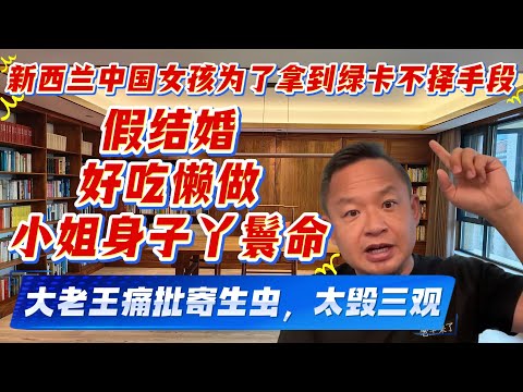 老王来了：（上）痛批小姐身子丫鬟命的新西兰中国女孩|三观不正的女人|新西兰幼教|移民