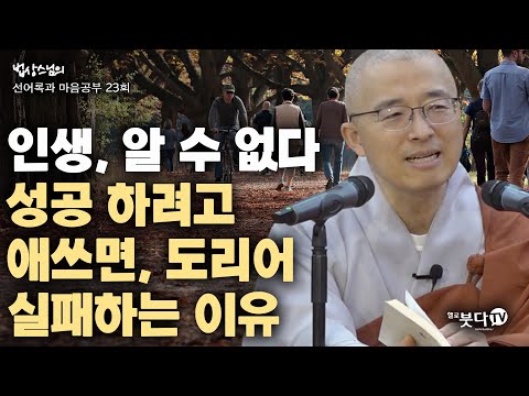 인생 알 수 없다 성공하려고 애쓰면 도리어 실패하는 이유 | 법상스님 행복한 마음공부 선어록과 마음공부 23(12-1) 인생상담 성공 실패 스트레스 말씀
