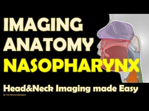 Imaging Anatomy of the Pharynx (2): Nasopharynx