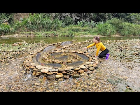 The girl arranged the stones in the stream into a spiral shape to make a trap for catching fish.