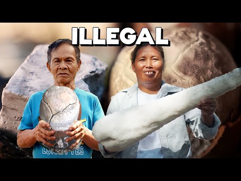 The Rarest Salts in the World | Filipino Salts