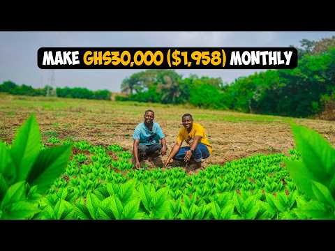 The Untapped Farming Business Making GHS30,000+($1,958) Monthly!"