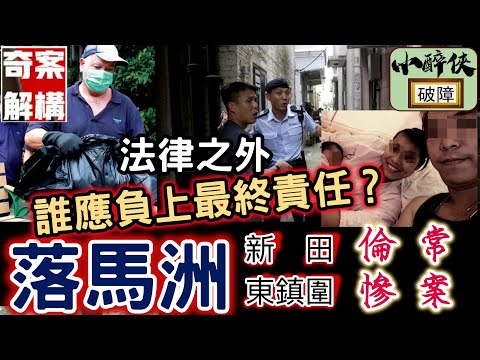 【奇案解構：落馬洲倫常慘案】沉怨未雪。誰應負上最終責任？（廣東話/中文字幕）#東鎮圍