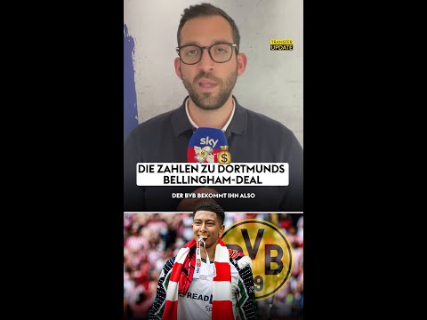Die Zahlen zu Dortmunds Bellingham-Deal! 💰