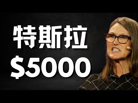 方舟基金2025 Big Ideas：特斯拉2030年股价5000美元，Robotaxi市场份额达50%！Tesla $5000 in 5 years.
