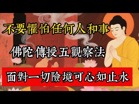 不要懼怕任何人和事，佛陀傳授五觀察法，面對一切險境可心如止水！#佛教 #佛家 #佛法 #佛學知識 #佛學智慧 #修心修行 #佛教文化 #禪悟人生 #傳統文化