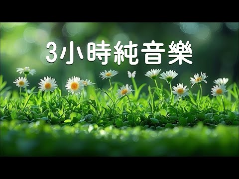 ☁️ 3 Hours of Pure Music | Perfect for Homework, Yoga, Coffee, Cooking | Soothing Music and Relaxing