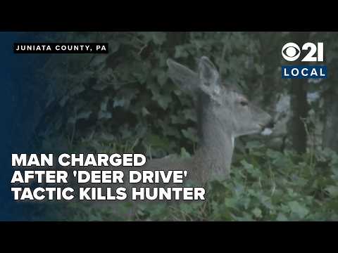 'Deer drive' tactic ends in man's death and other man charged for hunting shooting