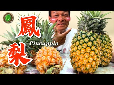 Countryside Episode 1 | Pineapple | Ice Fruit Room | Pineapple Iced Tea | Pinger