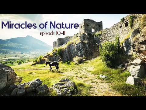 The greatness and uniqueness of our planet! Miracles of Nature | Episode • 10 • 11