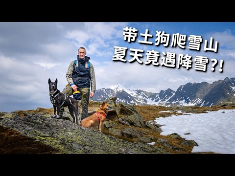 [ENG中文 SUB] SNOWING in SUMMER?! A crazy through the Alps with my Chinese Dogs!