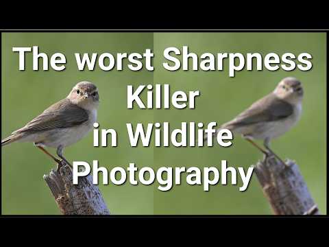 Your Photos Are Blurry Because of THIS. And Nobody Talks About It.