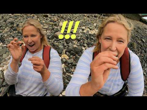 I Found 2 Beautiful Medieval Artefacts on the Thames Mudlarking. Can You Help Me to ID One of Them?