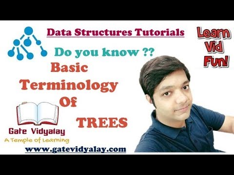Tree Data Structure Basic Terms | Important