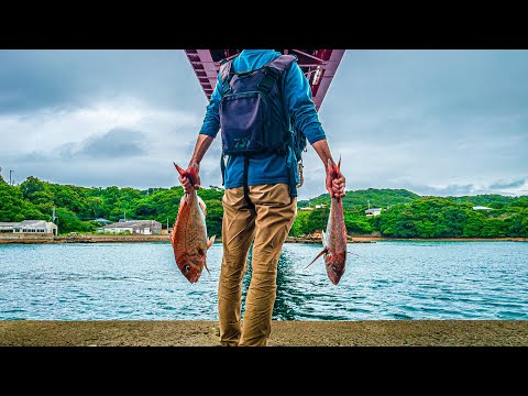 マダイが岸から簡単に釣れる、この釣りがすごすぎる