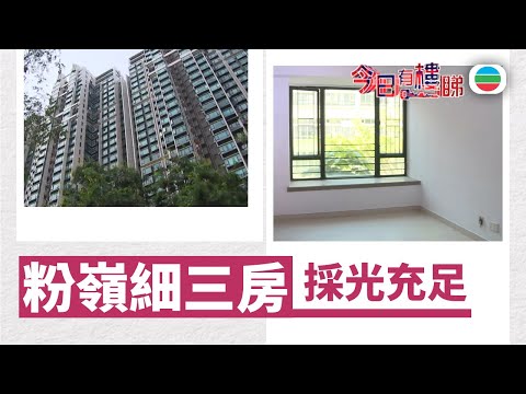 TVB今日有樓睇｜2025年12月22日｜粉嶺細三房　採光充足｜樓市｜樓盤