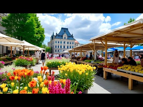 Perfect Summer In Zurich City, Switzerland Walking Tour🇨🇭Impressive Morning Market