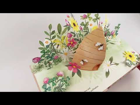 Flora: A Botanical Pop-Up Book