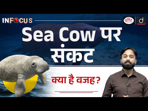 Dugong Conservation in India  | UPSC | Current Affairs | InFocus | Drishti IAS